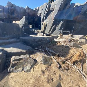 Oct. 2021 - Polar Bear Point