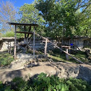 Oct. 2021 - Red Panda Exhibit