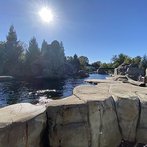 Oct. 2021 - Sea Lion Sound (California Sea Lions & Harbor Seals)