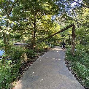 Oct. 2021 - 1904 Cypress Swamp