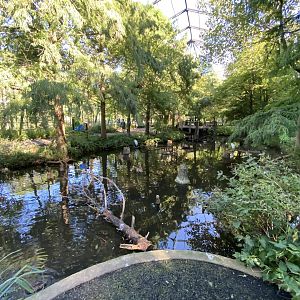 Oct. 2021 - 1904 Cypress Swamp