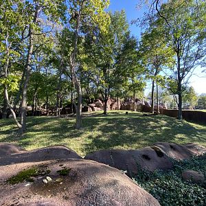 Oct. 2021 - Red Rocks - Antelope Yards - Okapi Exhibit