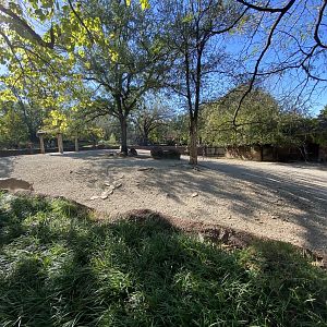 Oct. 2021 - Red Rocks - Antelope Yards - Somali Wild Ass Exhibit