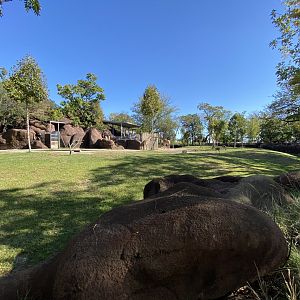 Oct. 2021 - Red Rocks - Antelope Yards - Reticulated Giraffe/Lesser Kudu/Gerenuk/Ostrich Exhibit