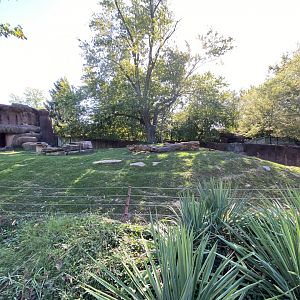 Oct. 2021 - Red Rocks - Antelope Yards - Transcapian Urial Exhibit