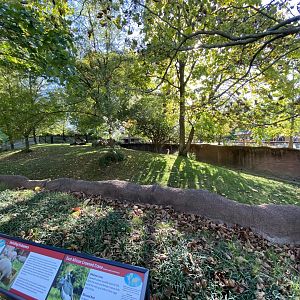 Oct. 2021 - Red Rocks - Antelope Yards - Dama Gazelle/East African Crowned Crane Exhibit