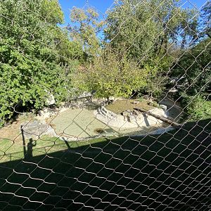 Oct. 2021 - Red Rocks - Big Cat Country - Jaguar Exhibit