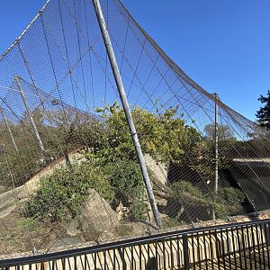 Oct. 2021 - Red Rocks - Big Cat Country - Snow Leopard Exhibit