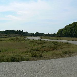 Réserve Africaine de Sigean - Safari drive through - Savannah