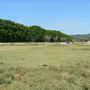 Réserve Africaine de Sigean - Safari drive through - Savannah