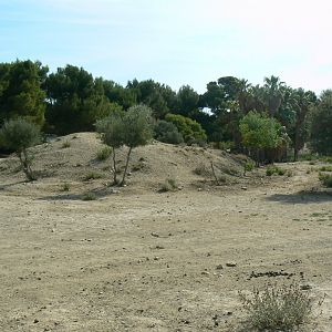 Réserve Africaine de Sigean - Safari drive through - Savannah