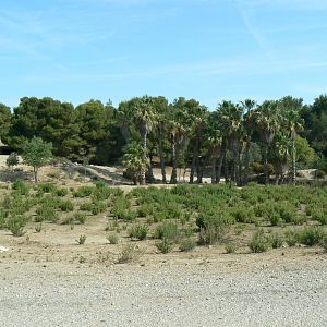 Réserve Africaine de Sigean - Safari drive through - Savannah
