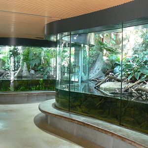 Réserve Africaine de Sigean - New reptile house - Dwarf crocodiles ahead and slender-snouted crocodiles behind