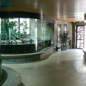 Réserve Africaine de Sigean - New reptile house - slender-snouted crocodiles ahead and dwarf crocodiles behind