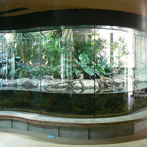 Réserve Africaine de Sigean - New reptile house - Dwarf crocodiles and helmeted turtles terrarium