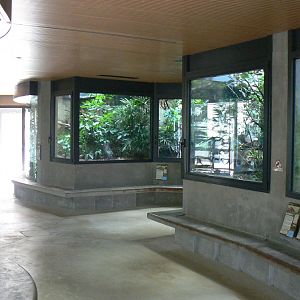 Réserve Africaine de Sigean - New reptile house - Monitor, snakes and chameleons terrariums