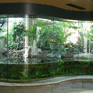 Réserve Africaine de Sigean - New reptile house - Slender-snouted crocodiles terrarium