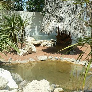 Réserve Africaine de Sigean - Black-throated monitor and african spurred tortoises exhibit