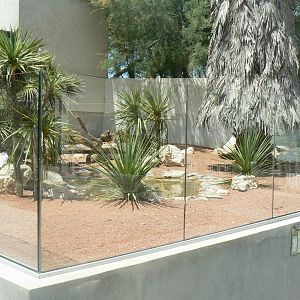 Réserve Africaine de Sigean - Black-throated monitor and african spurred tortoises exhibit