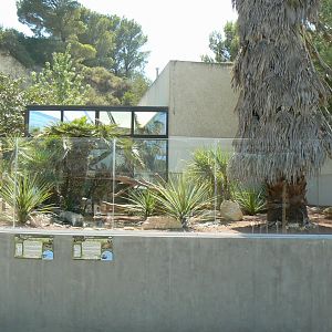 Réserve Africaine de Sigean - Black-throated monitor and african spurred tortoises exhibit