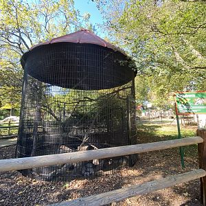 Oct. 2021 - Kookaburra Exhibit