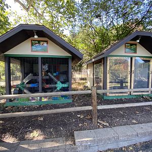 Oct. 2021 - Ferret + Iguana Exhibits