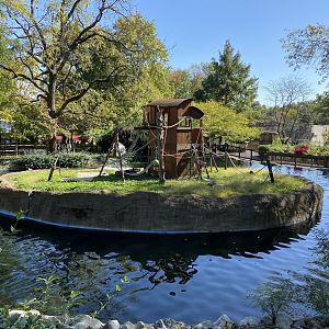Oct. 2021 - Ring-tailed Lemur Exhibit