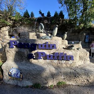 Oct. 2021 - Penguin & Puffin Coast