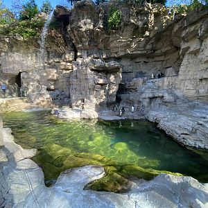 Oct. 2021 - Penguin & Puffin Coast - Humboldt Haven