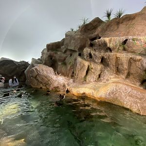 Oct. 2021 - Penguin & Puffin Coast - Puffin Bay