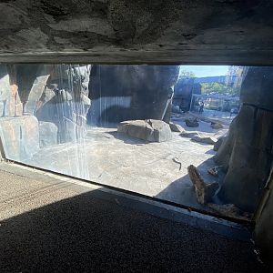 Oct. 2021 - Polar Bear Point - Cave View