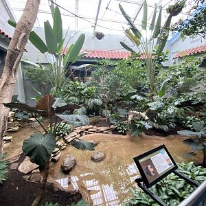 Oct. 2021 - Bird House - Center Exhibit (5 Species)