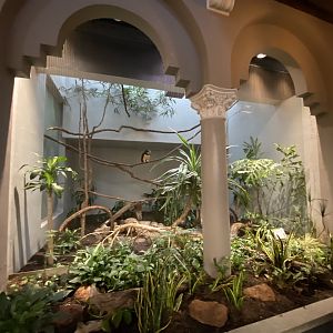 Oct. 2021 - Bird House - Spectacled Owl Exhibit