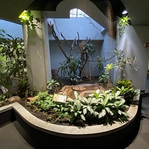 Oct. 2021 - Bird House - White-headed Buffalo Weaver Exhibit