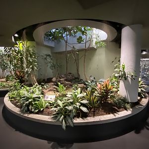 Oct. 2021 - Bird House - Sunbittern Exhibit