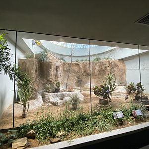 Oct. 2021 - Bird House - Cape Thick-knee/Carmine Bee-eater Exhibit