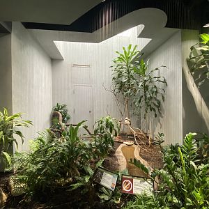 Oct. 2021 - Bird House - Kookaburra Exhibit