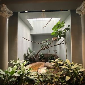 Oct. 2021 - Bird House - Red-legged Seriema Exhibit