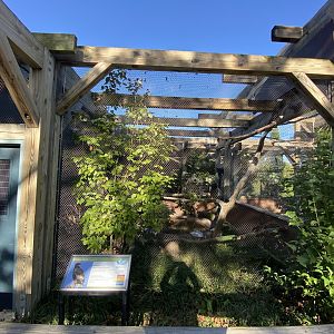 Oct. 2021 - Bird House - Bateleur Eagle Exhibit