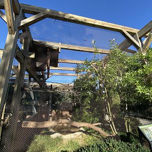 Oct. 2021 - Bird House - Red-billed Blue Magpie Exhibit