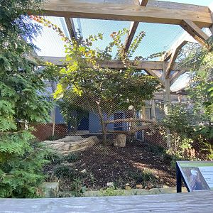 Oct. 2021 - Bird House - Bald Eagle Exhibit