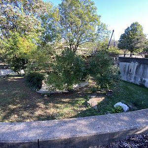 Oct. 2021 - Red Rocks - Big Cat Country - Lion Exhibit
