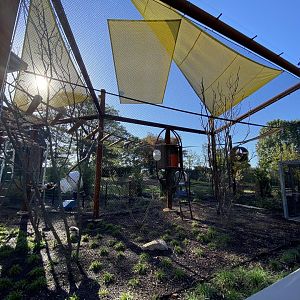 Oct. 2021 - New! Primate Canopy Trails - Fourth Rotational Exhibit (Sifaka)