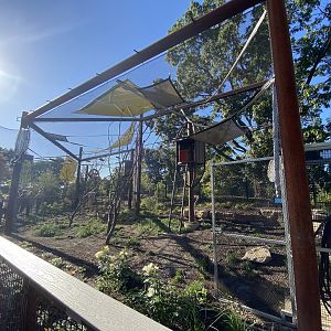 Oct. 2021 - New! Primate Canopy Trails - Third Rotational Exhibit (Empty)