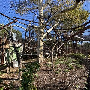 Oct. 2021 - New! Primate Canopy Trails - Sycamore Sanctuary (Empty)