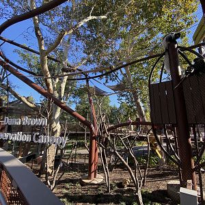 Oct. 2021 - New! Primate Canopy Trails - Conservation Canopy (Colobus)