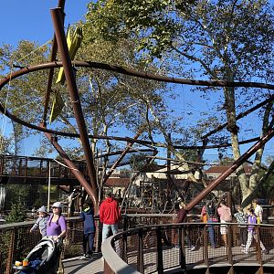 Oct. 2021 - New! Primate Canopy Trails - Conservation Canopy (Colobus)