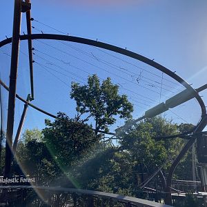 Oct. 2021 - New! Primate Canopy Trails - Majestic Forest (Empty)