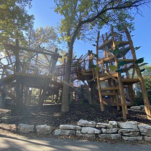 Oct. 2021 - New! Primate Canopy Trails - Playground