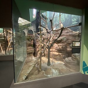 Oct. 2021 - Primate House - Ring-tailed Lemur Exhibit